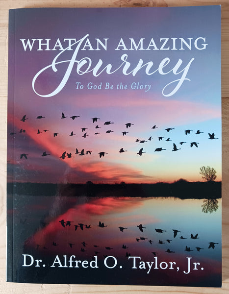 What An Amazing Journey - book