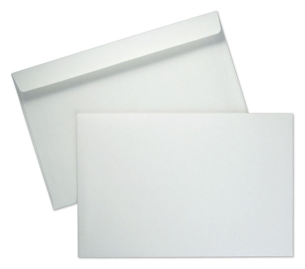 Envelopes 6" x 9" printed or blank